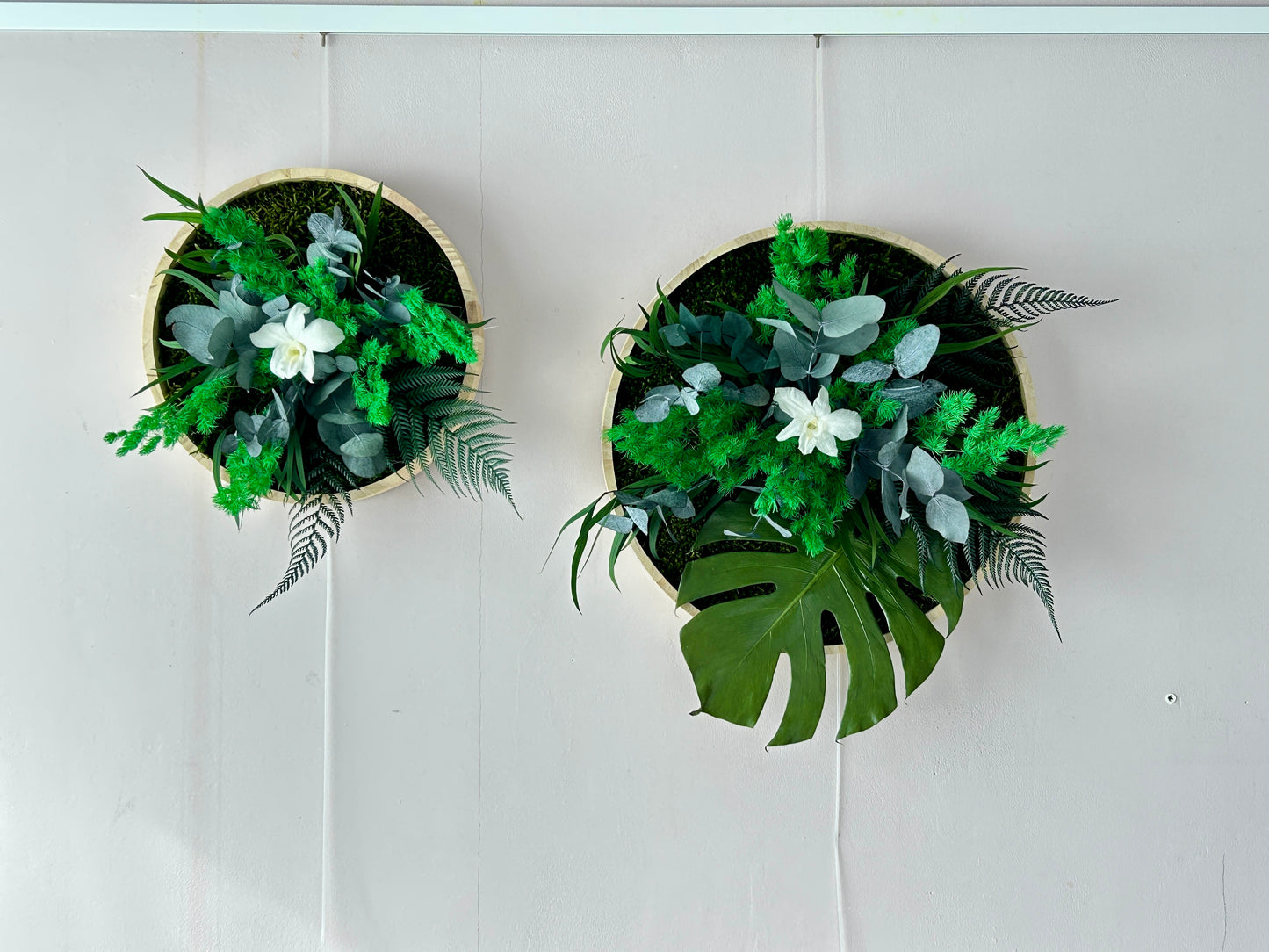 Duo végétal stabilisé “Selena”