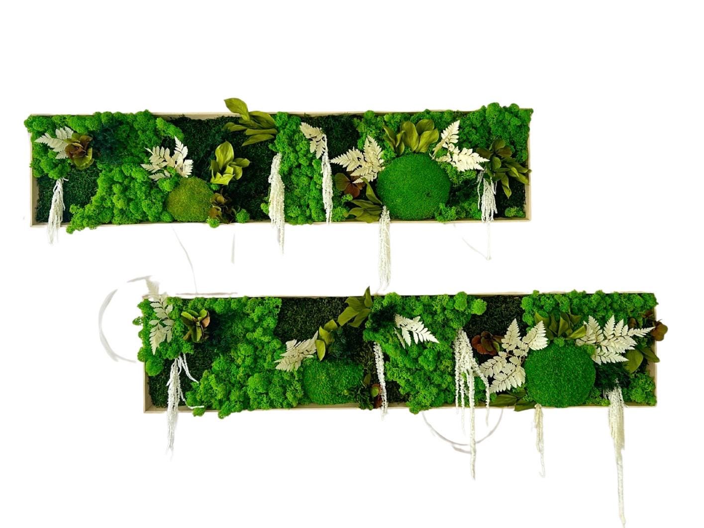 Tableau végétal stabilisé “Sylve”