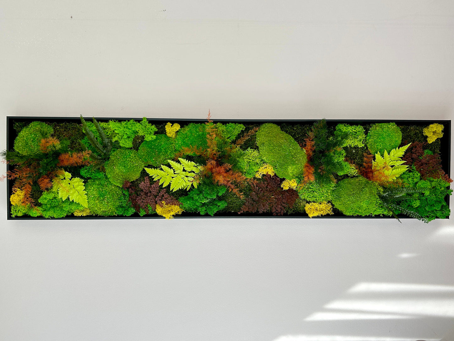 Tableau végétal stabilisé panoramique « Aria »