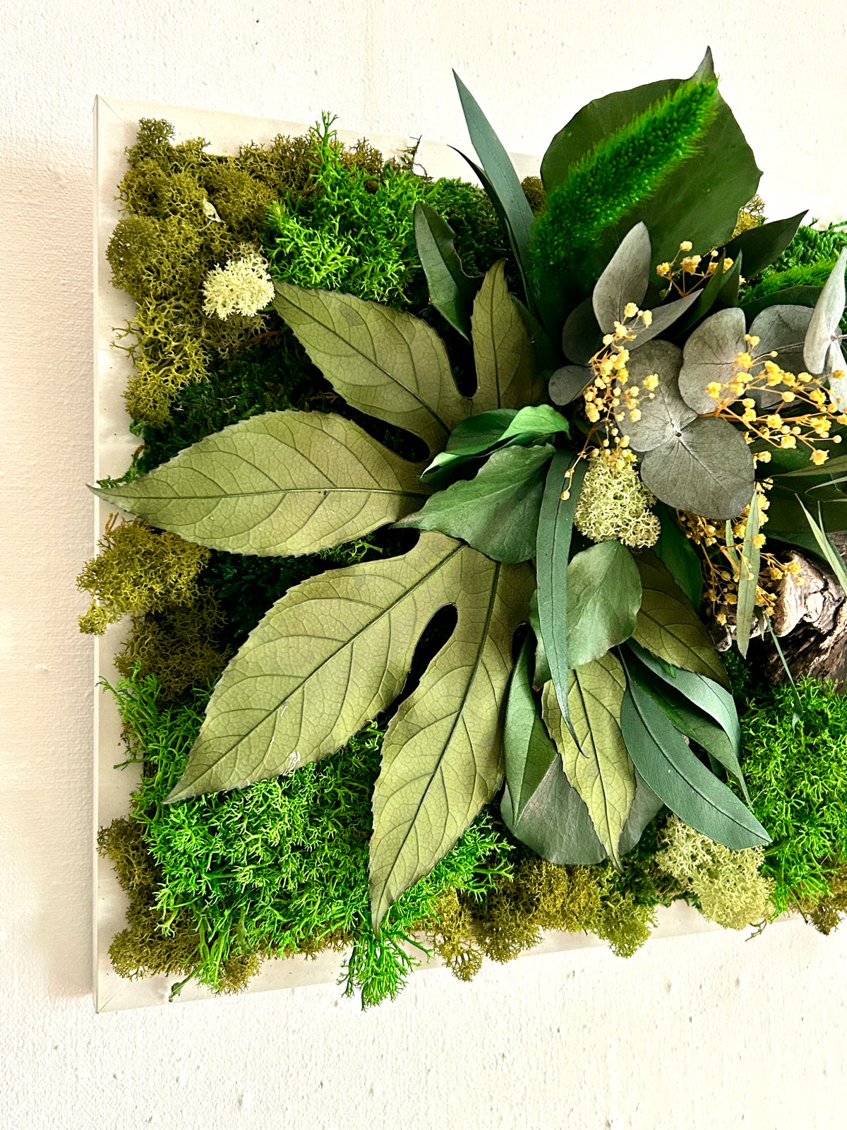 Tableau végétal stabilisé « Jade » – Cadre végétal panoramique – Mousses et plantes naturelles – Décoration murale artisanale