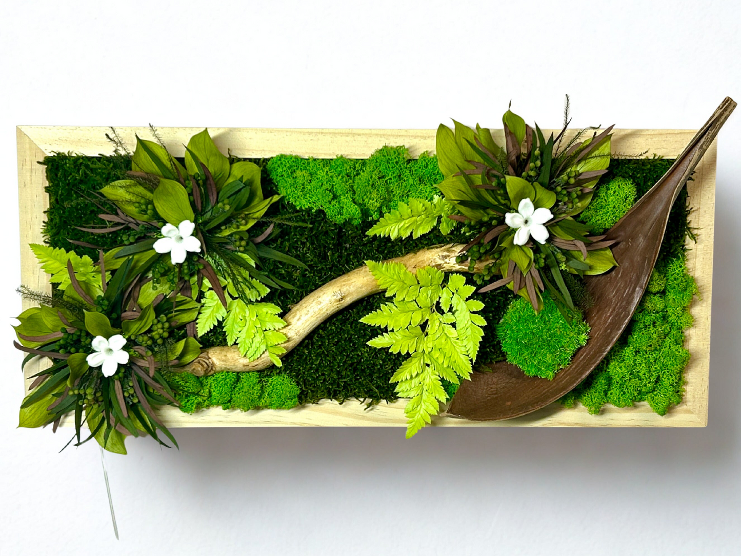 Tableau végétal stabilisé "Jungle"
