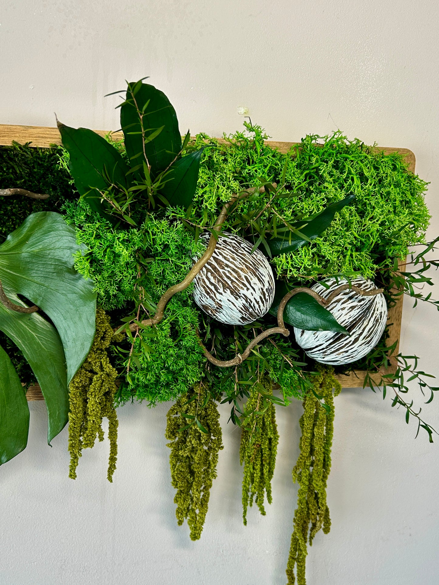 Tableau végétal stabilisé “Amazonia”