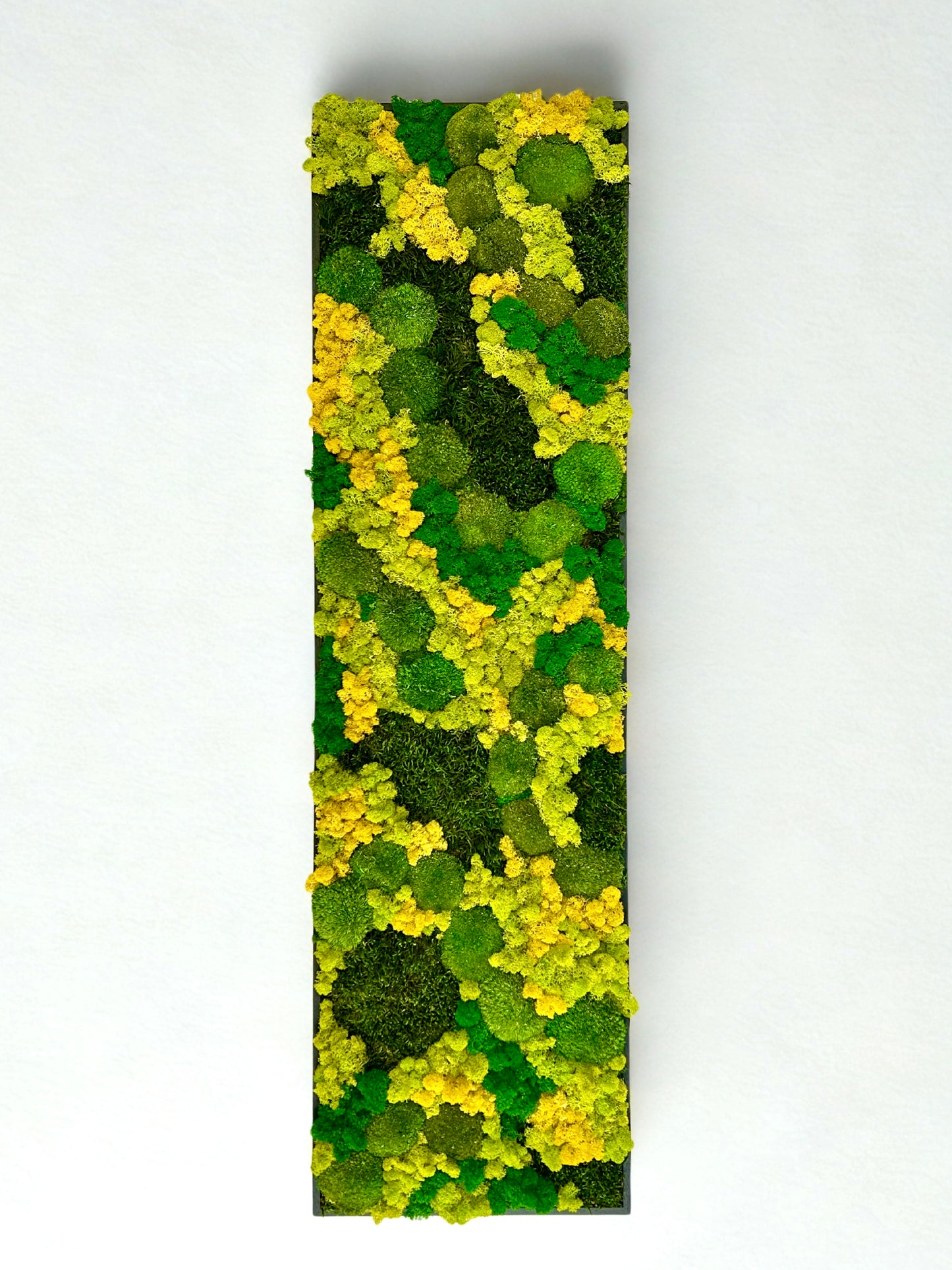 Tableau végétal stabilisé « Terra Nova »