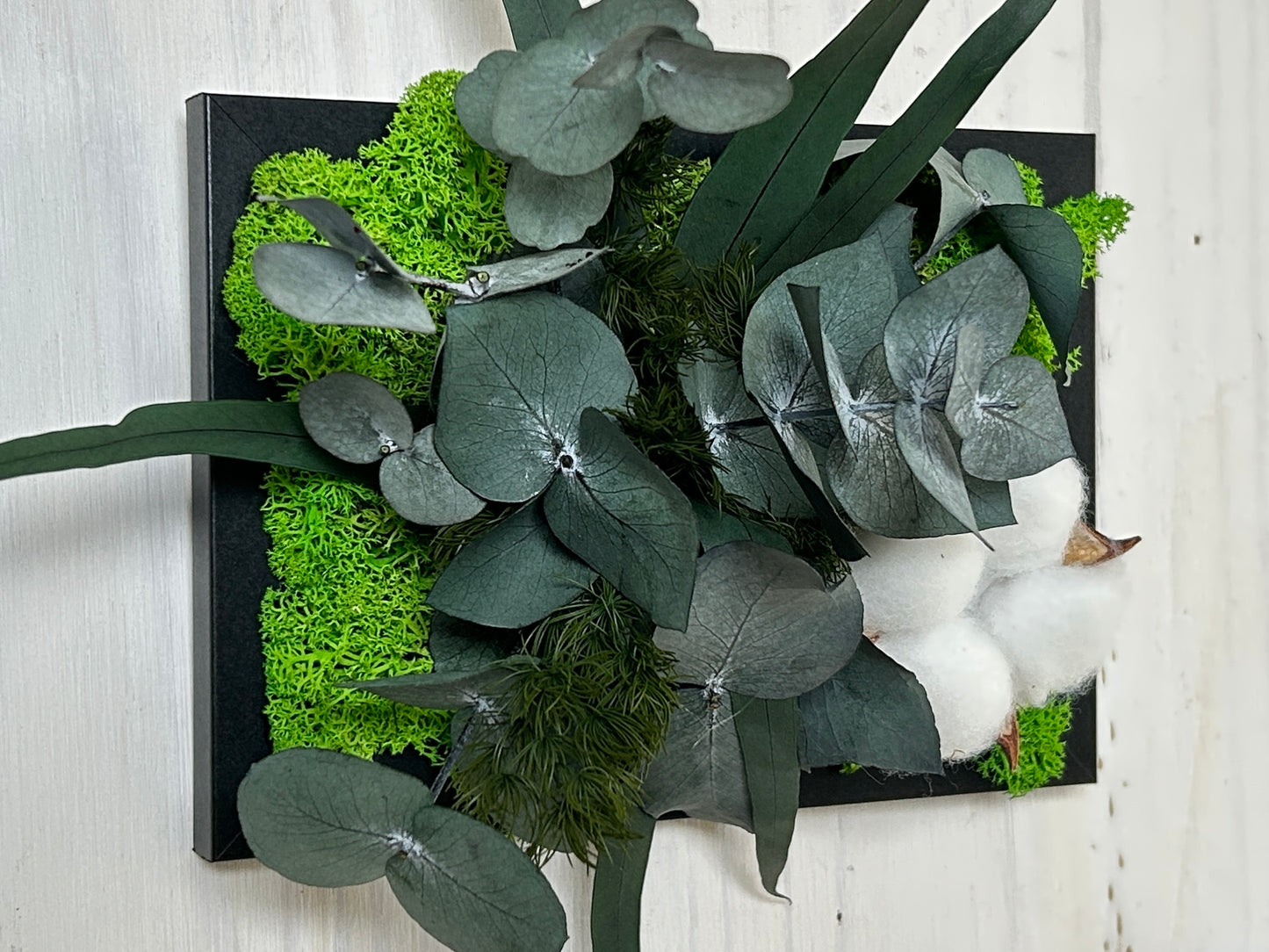 Cadre végétal stabilisé "Fleur de coton"