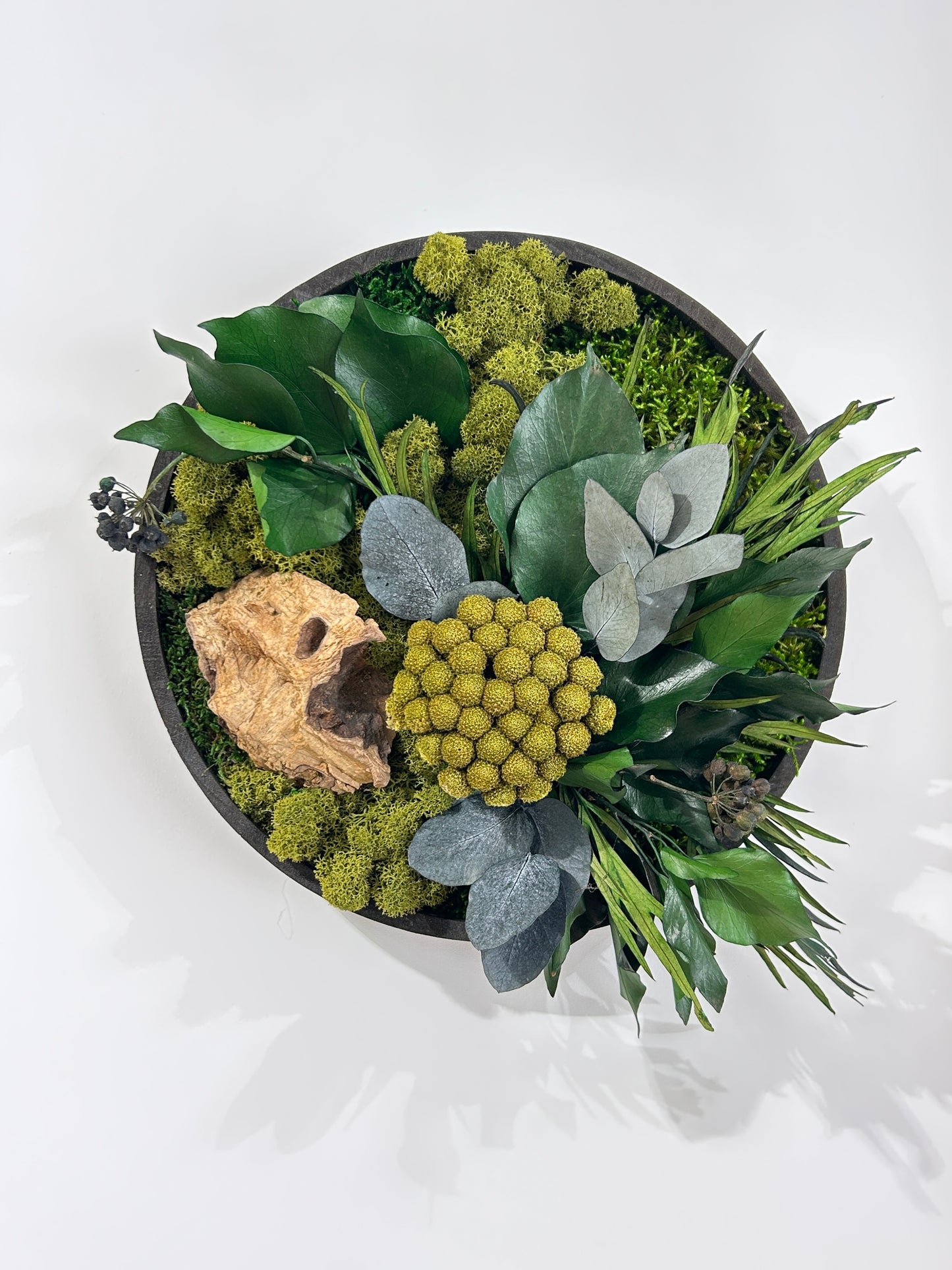 Cadre végétal rond en mousse stabilisée, eucalyptus, brunia, grévilléa et bois flotté, sans arrosage ni entretien. Boutique de décoration végétale à Colmar.