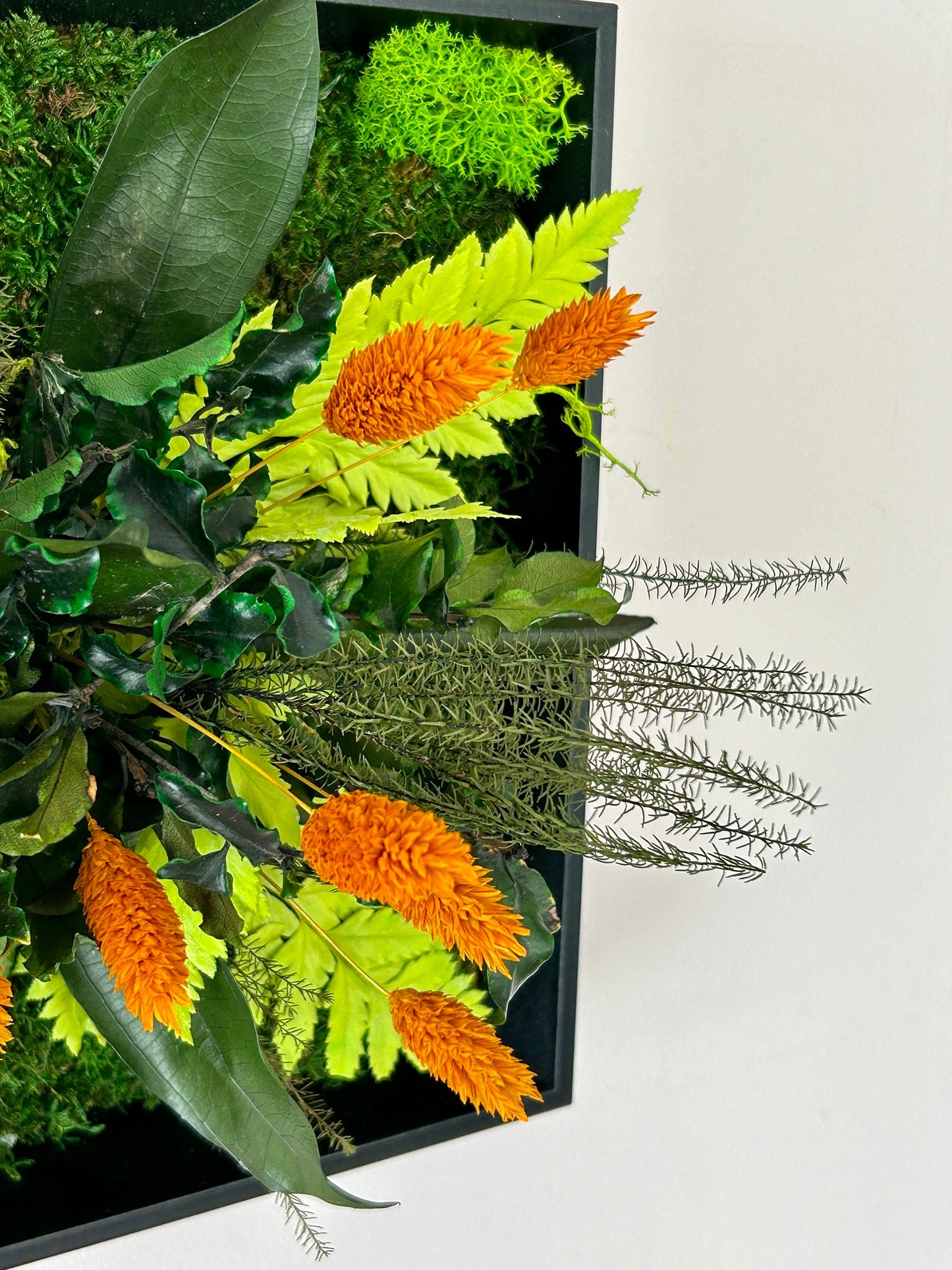 Cadre végétal stabilisé panoramique « Arvène »