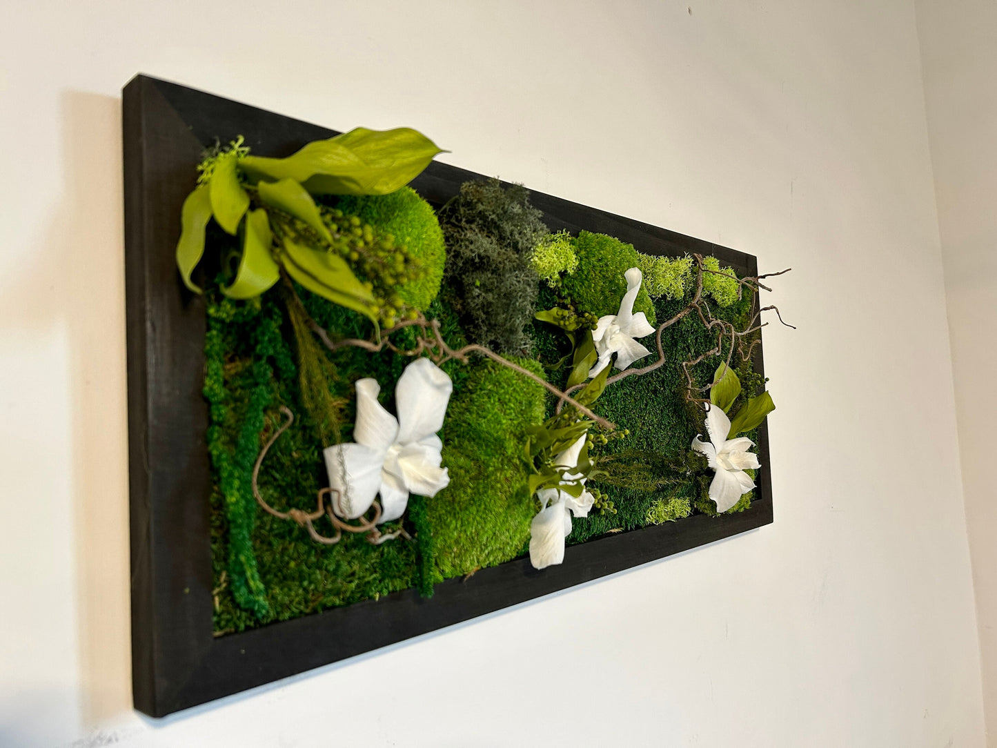 Tableau végétal stabilisé “Cattleya”
