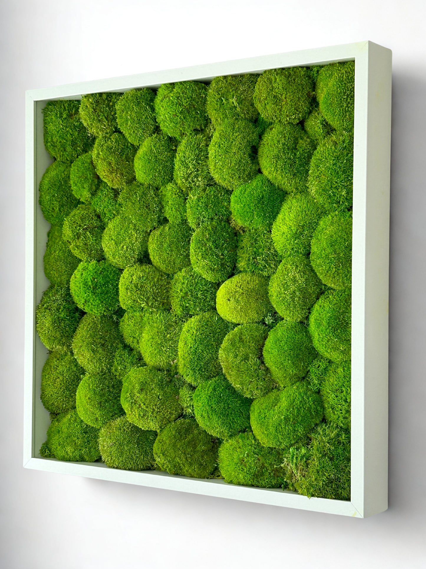 Tableau végétal stabilisé “Isla”