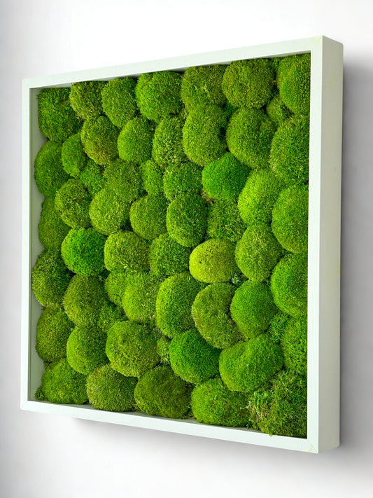 Tableau végétal stabilisé “Isla”