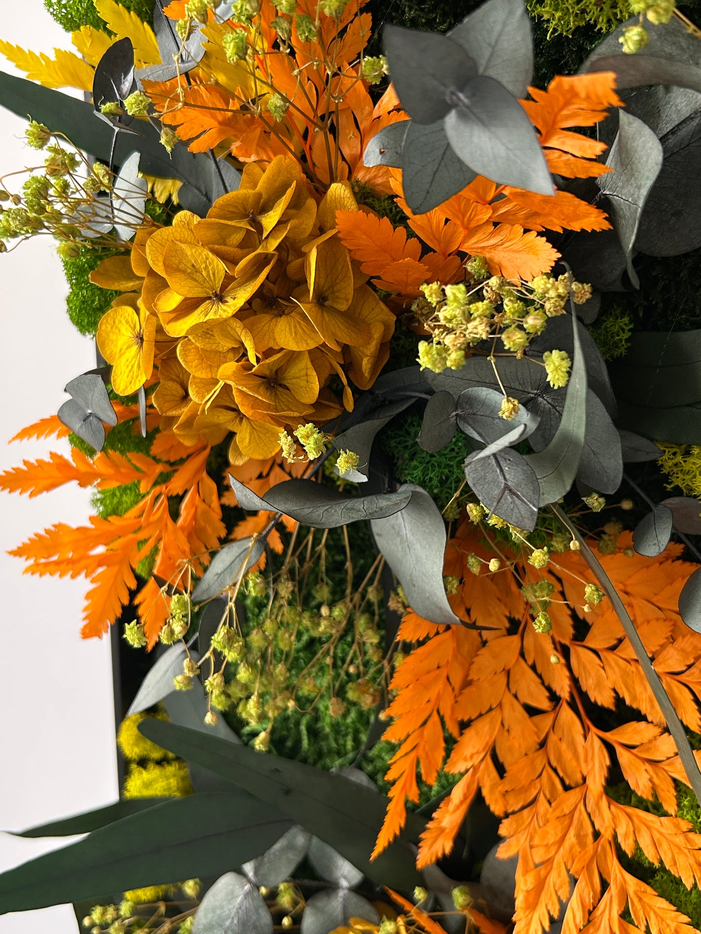 Tableau végétal stabilisé “Rayon Ambre”