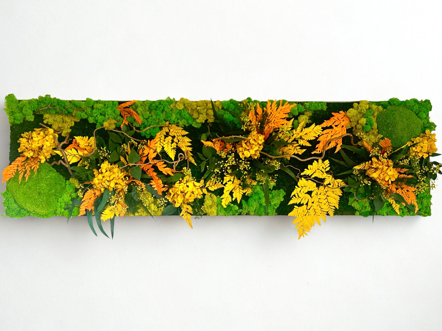 Tableau végétal stabilisé “Rayon Ambre”