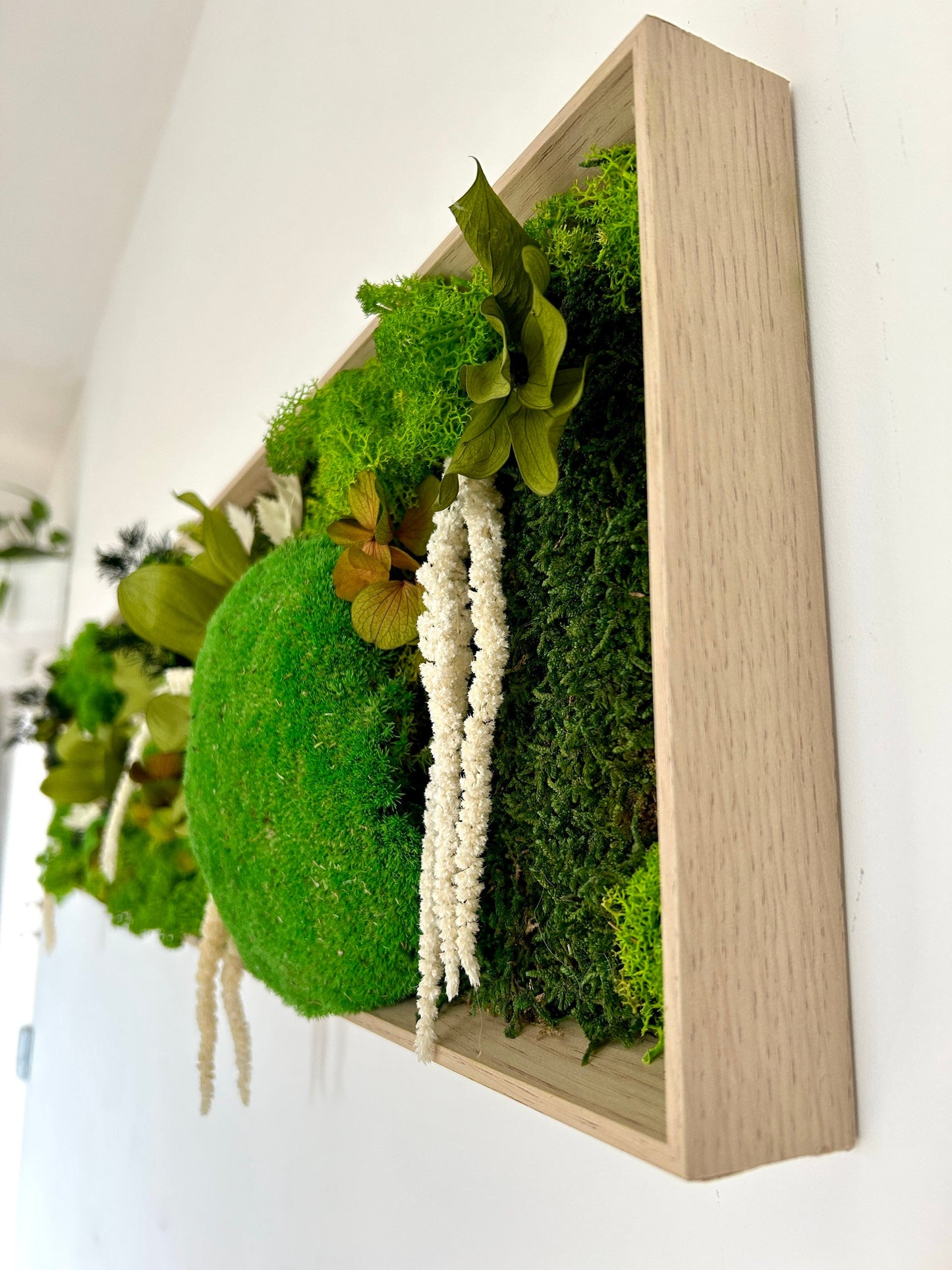 Tableau végétal stabilisé “Sylve”