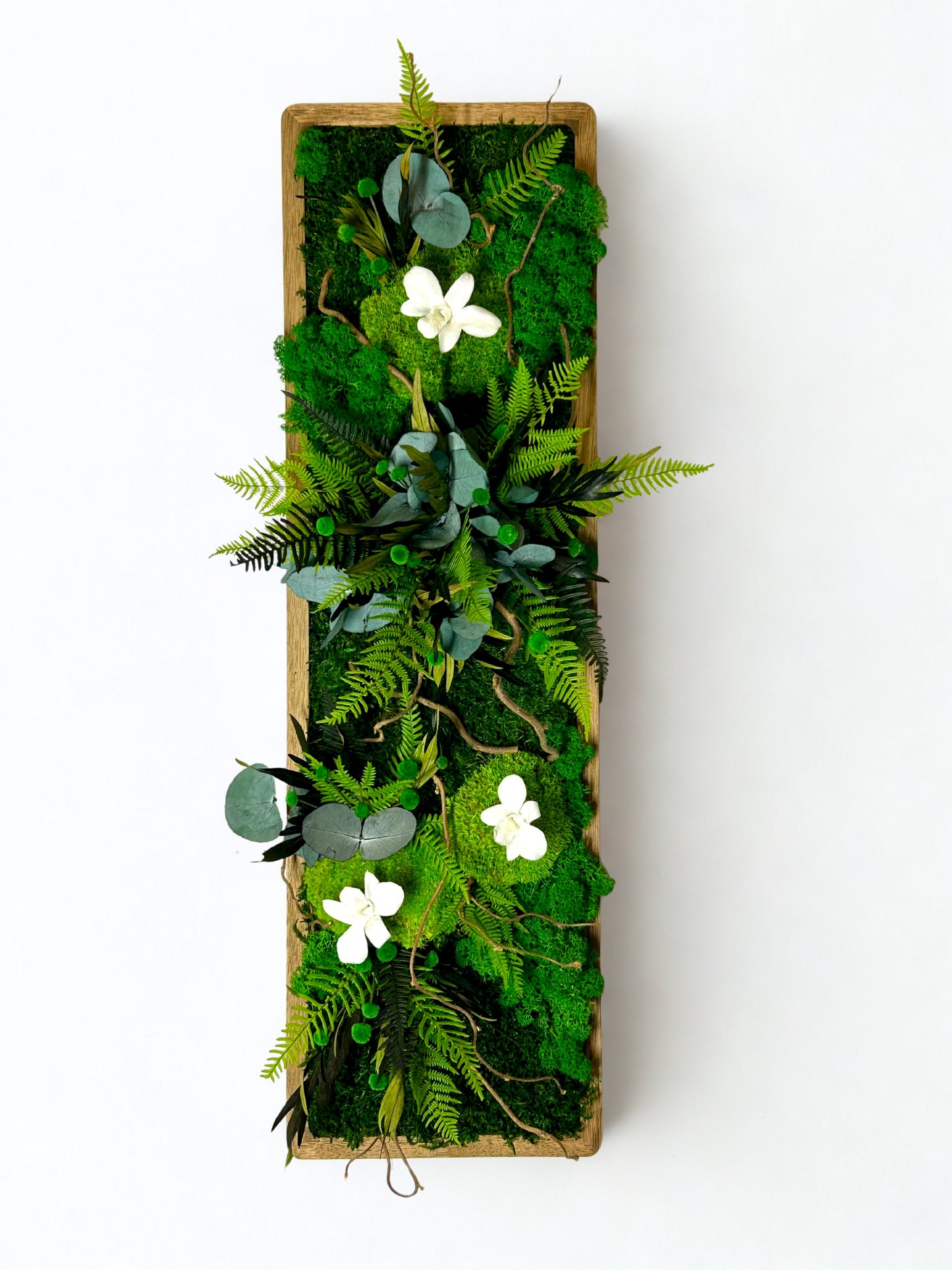 Tableau végétal stabilisé “Calista”