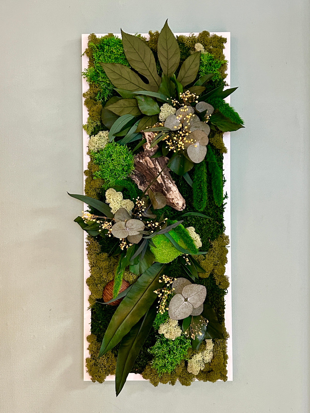 Tableau végétal stabilisé « Jade » – Cadre végétal panoramique – Mousses et plantes naturelles – Décoration murale artisanale