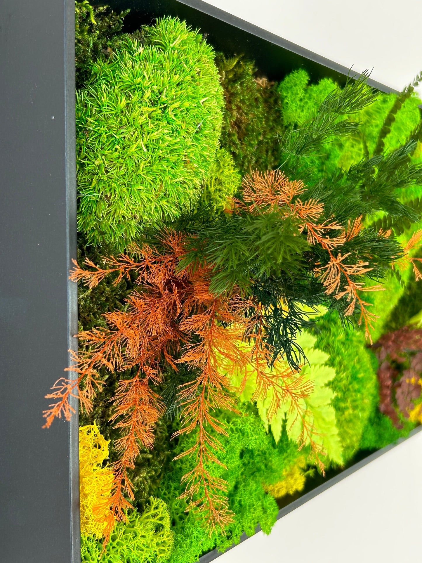 Tableau végétal stabilisé panoramique « Aria »