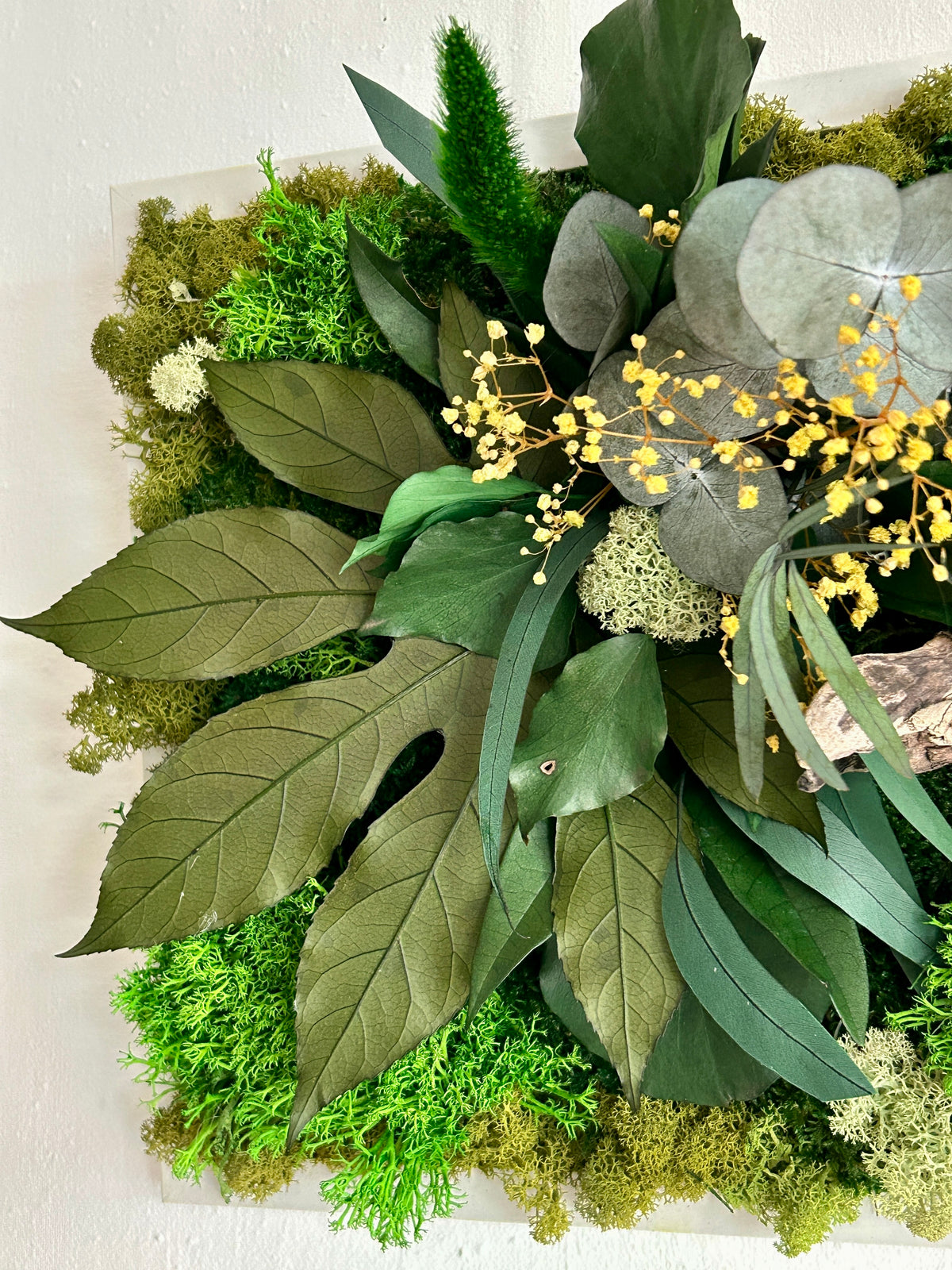 Tableau végétal stabilisé « Jade » – Cadre végétal panoramique – Mousses et plantes naturelles – Décoration murale artisanale