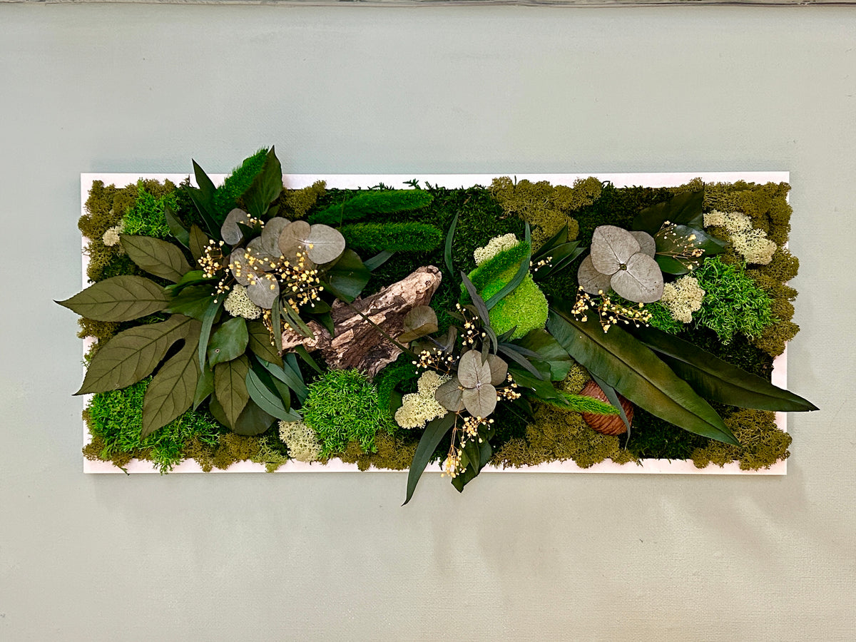 Tableau végétal stabilisé « Jade » – Cadre végétal panoramique – Mousses et plantes naturelles – Décoration murale artisanale