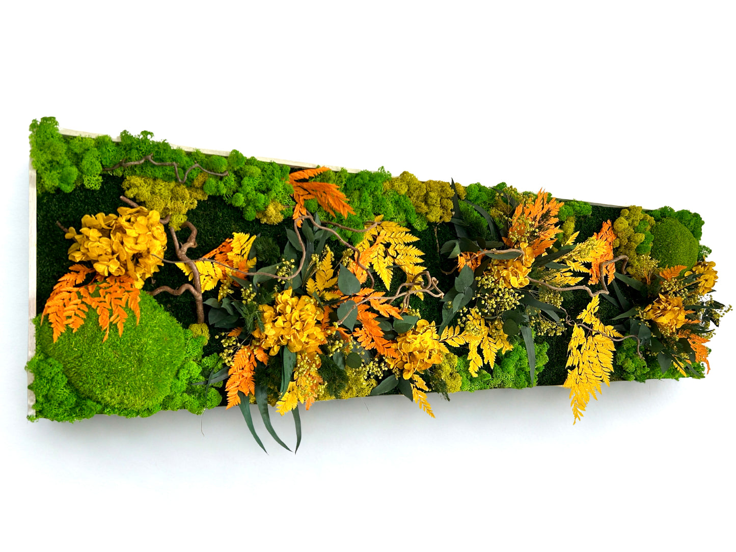 Tableau végétal stabilisé “Rayon Ambre”