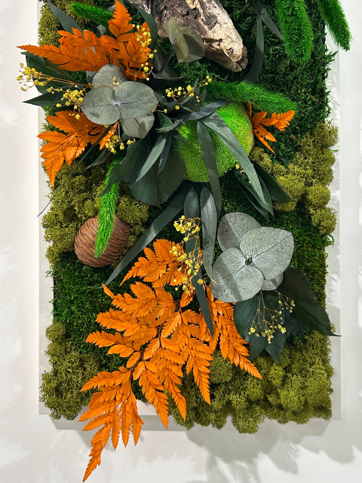 Tableau végétal stabilisé « Forêt des Elfes »
