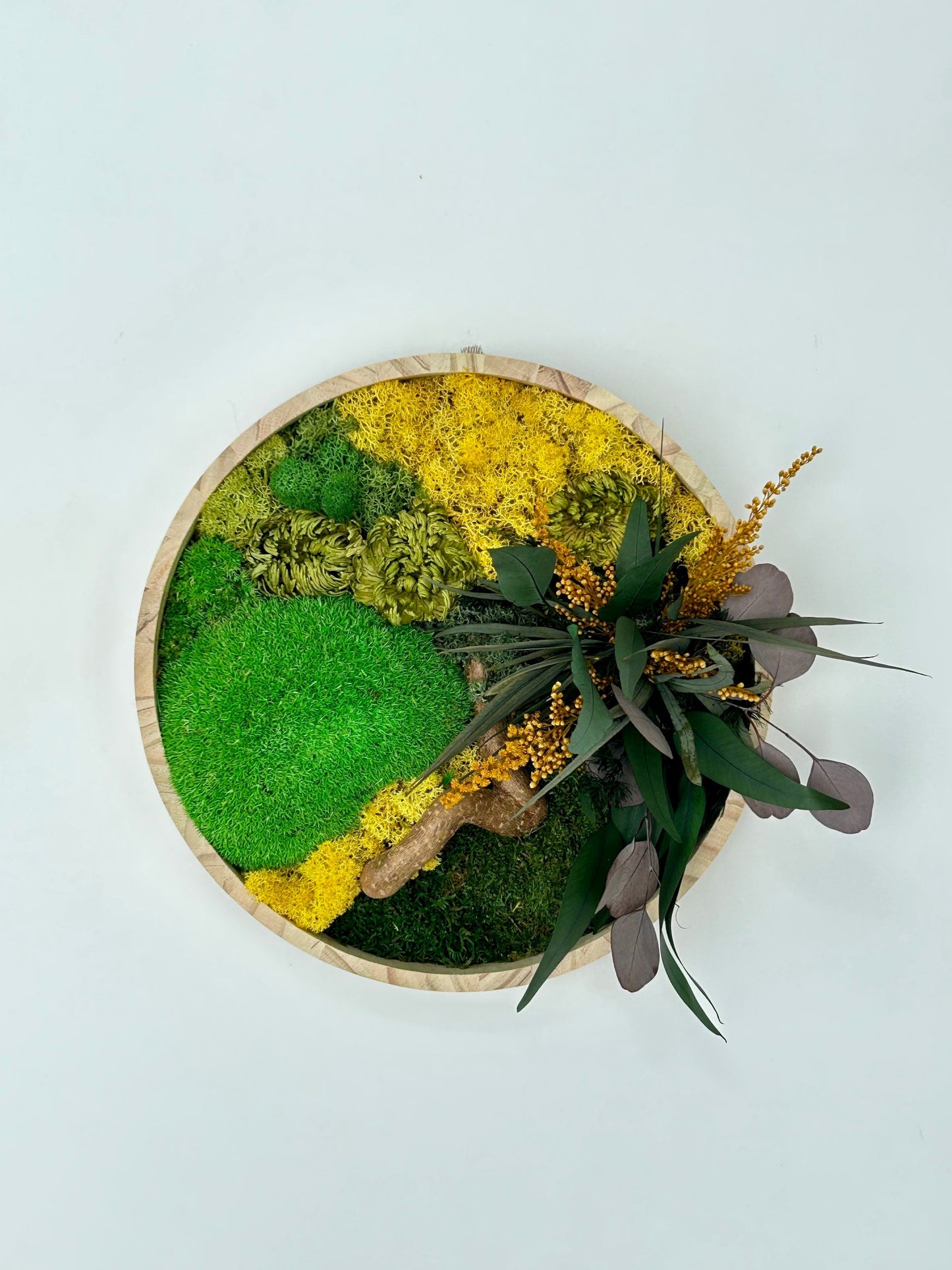 Tableau végétal stabilisé “Solaria”