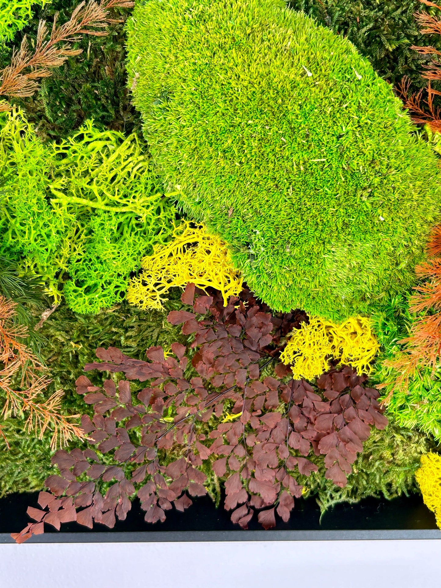 Tableau végétal stabilisé panoramique « Aria »