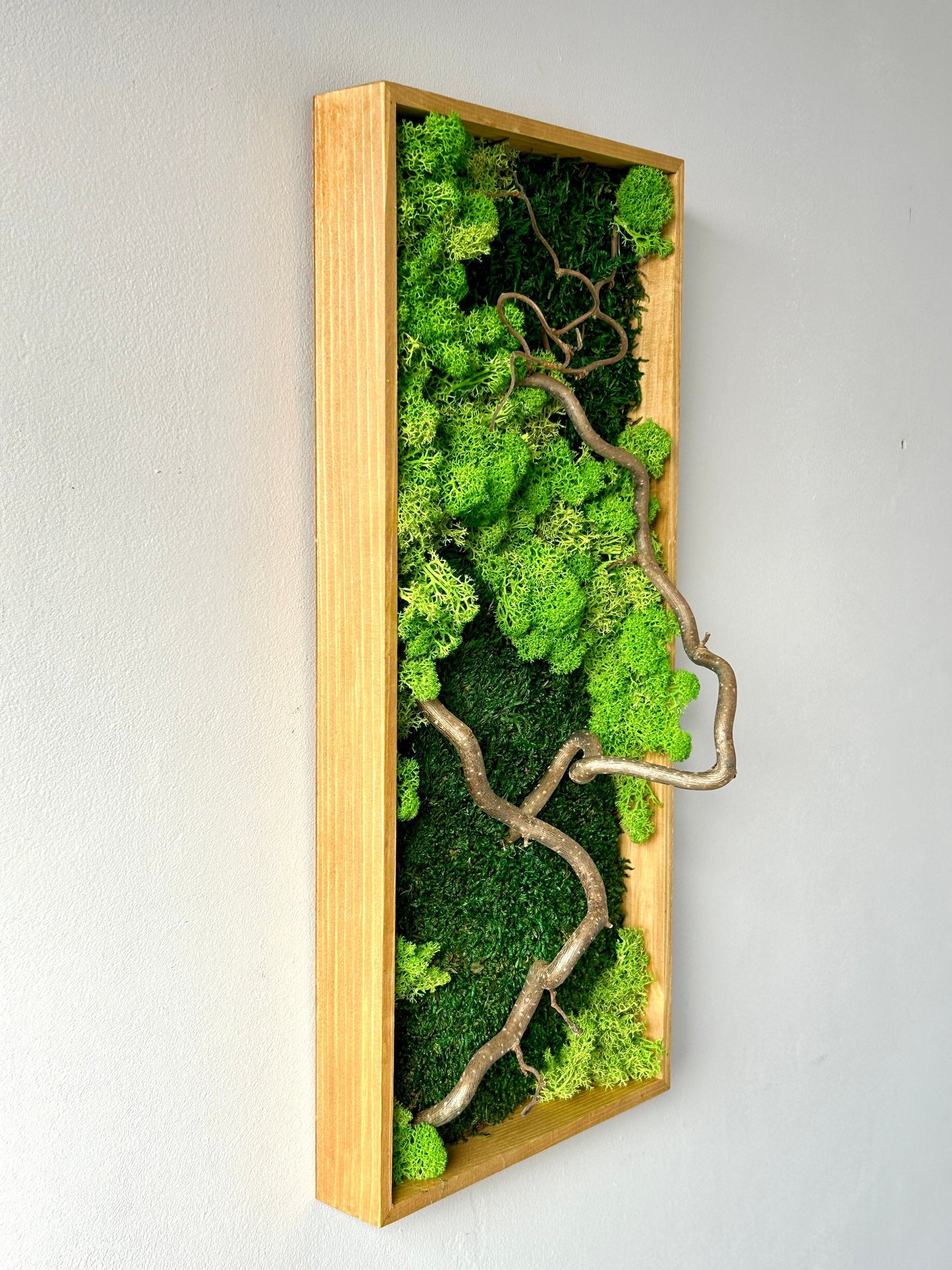 Tableau végétal stabilisé « Sylva »