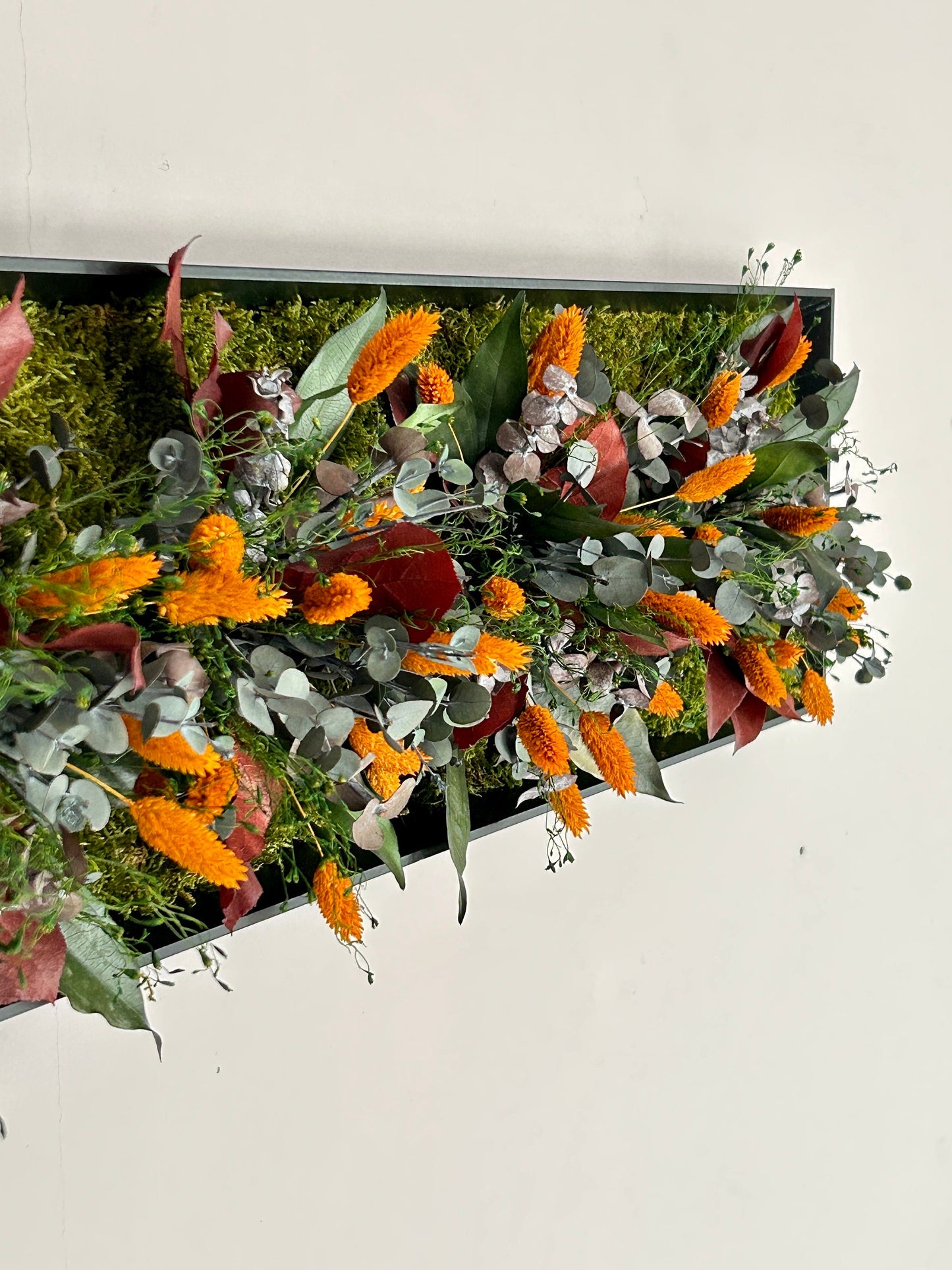 Cadre végétal stabilisé « Solea »