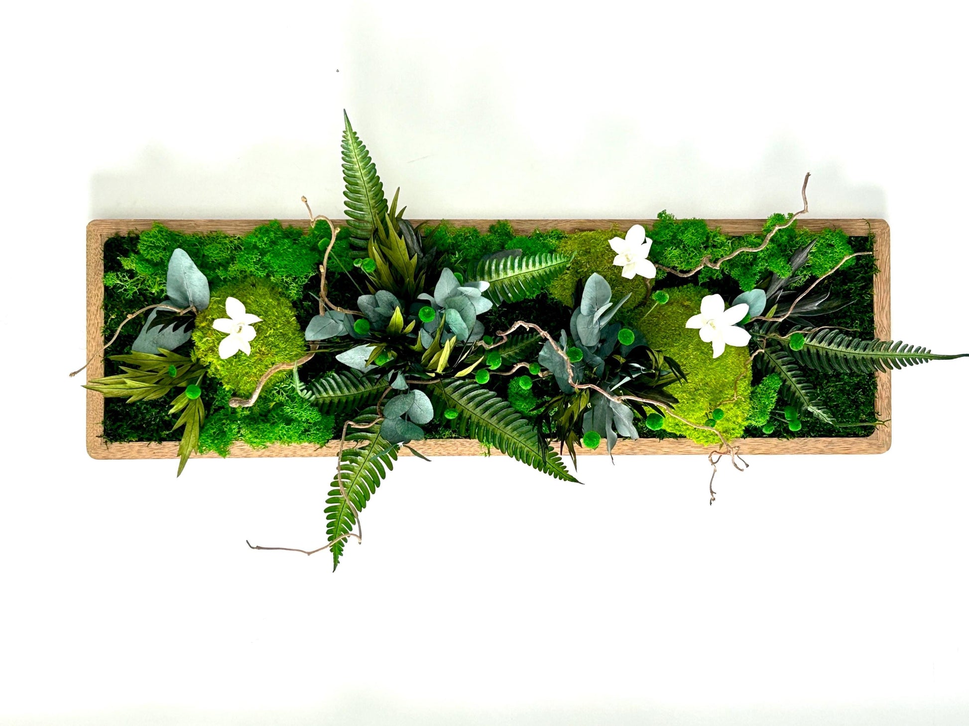 Tableau végétal stabilisé rectangulaire avec mousse verte, fougères et petites fleurs blanches