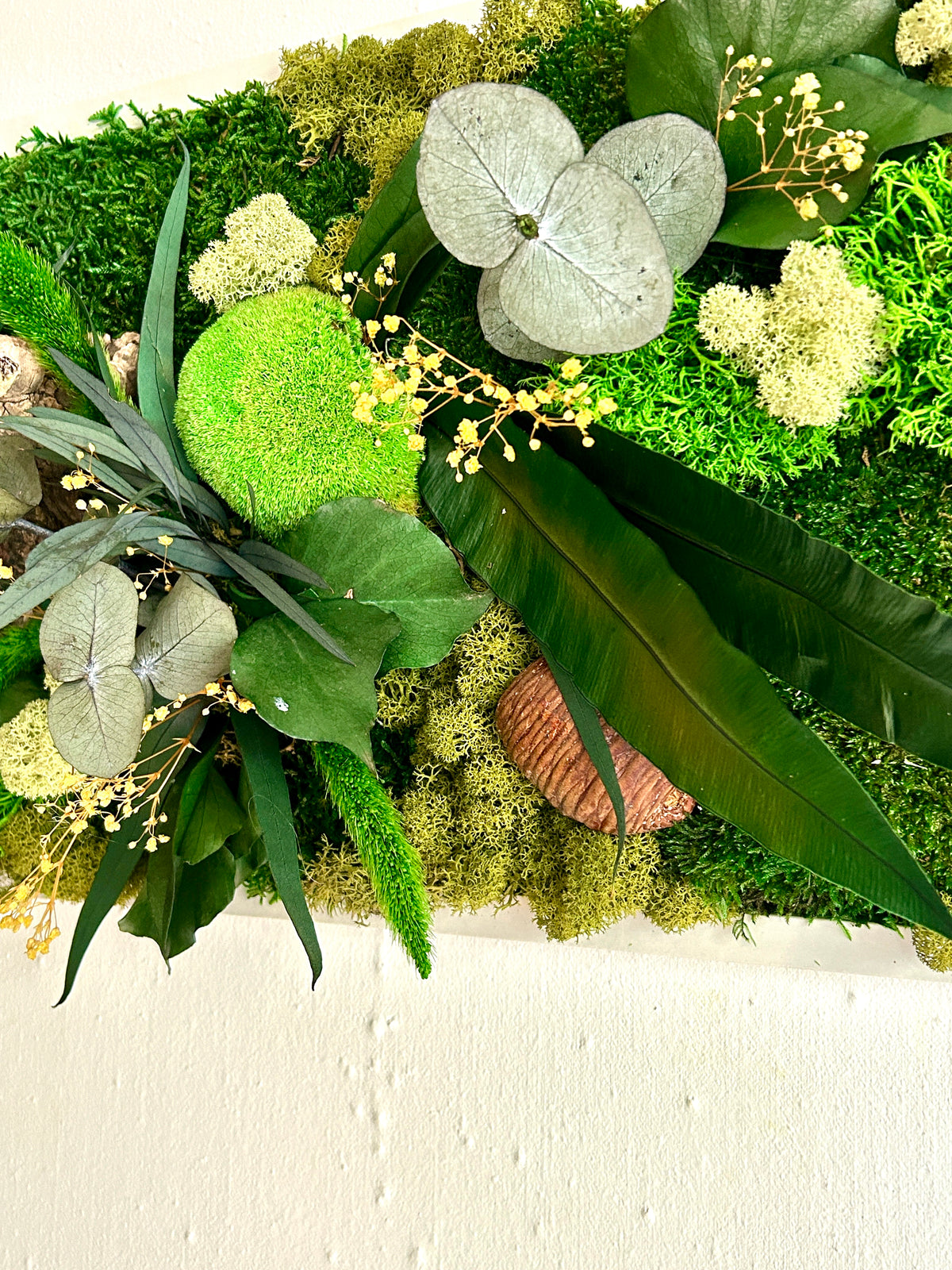 Tableau végétal stabilisé « Jade » – Cadre végétal panoramique – Mousses et plantes naturelles – Décoration murale artisanale
