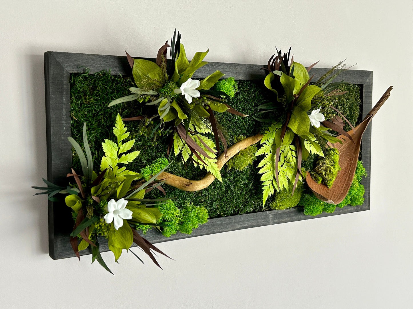 Tableau végétal stabilisé "Jungle"