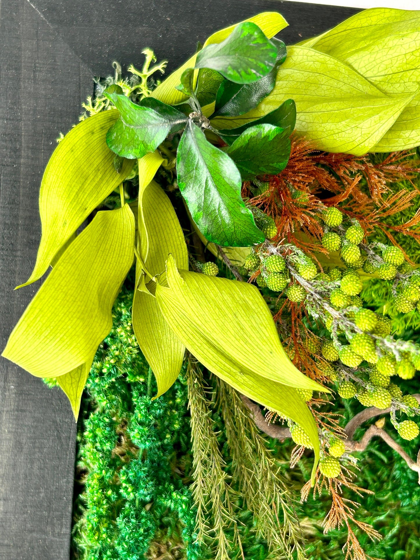 Tableau végétal stabilisé « Alice » - Cadeau nature – Décoration zen
