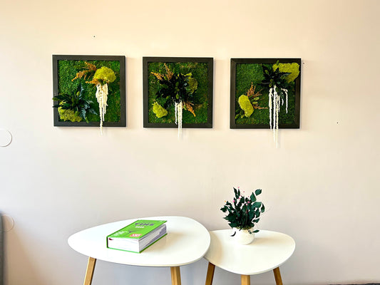 Trio de tableaux végétaux stabilisés, décoration murale naturelle