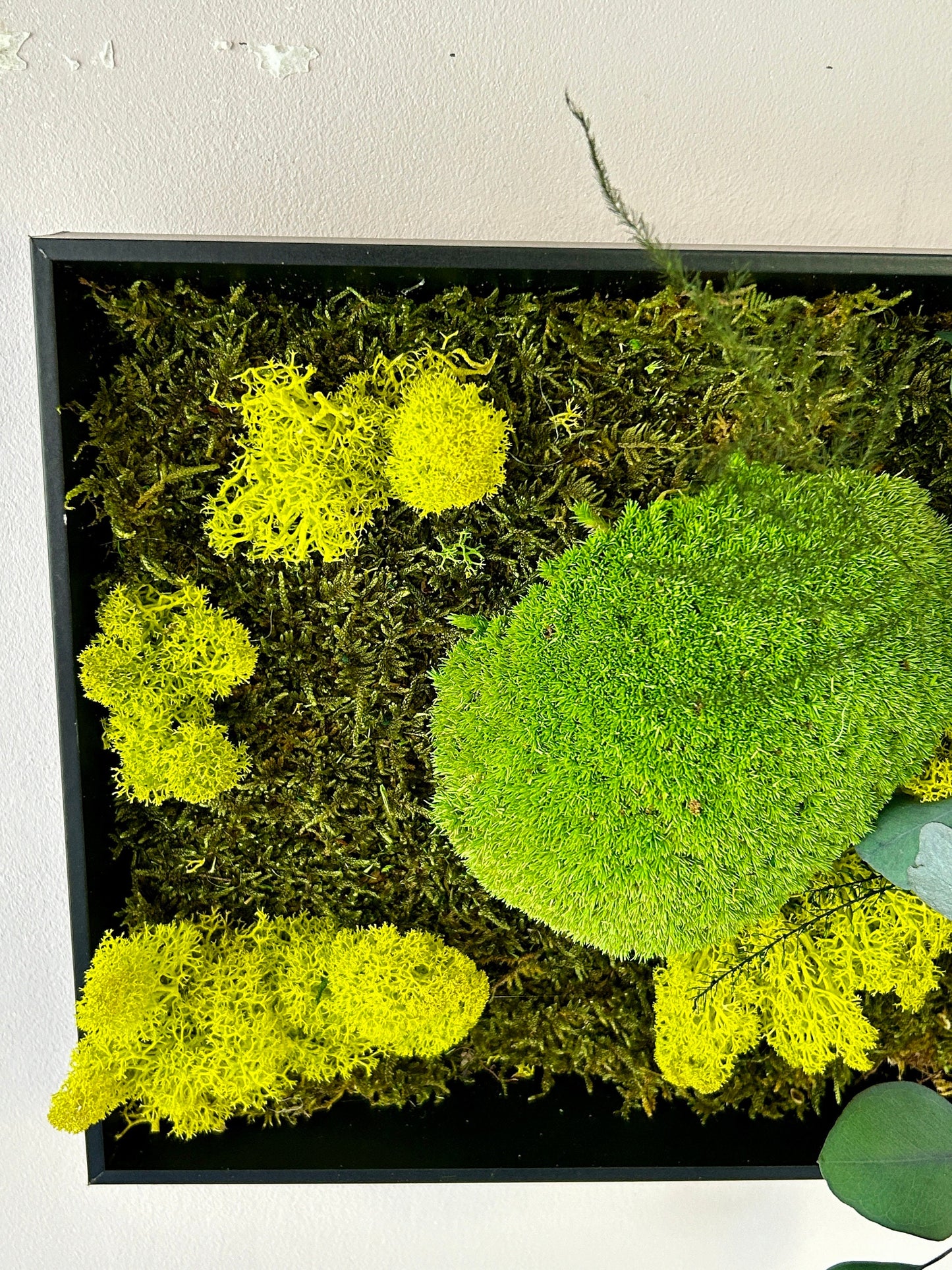 Tableau végétal stabilisé “Nerina”