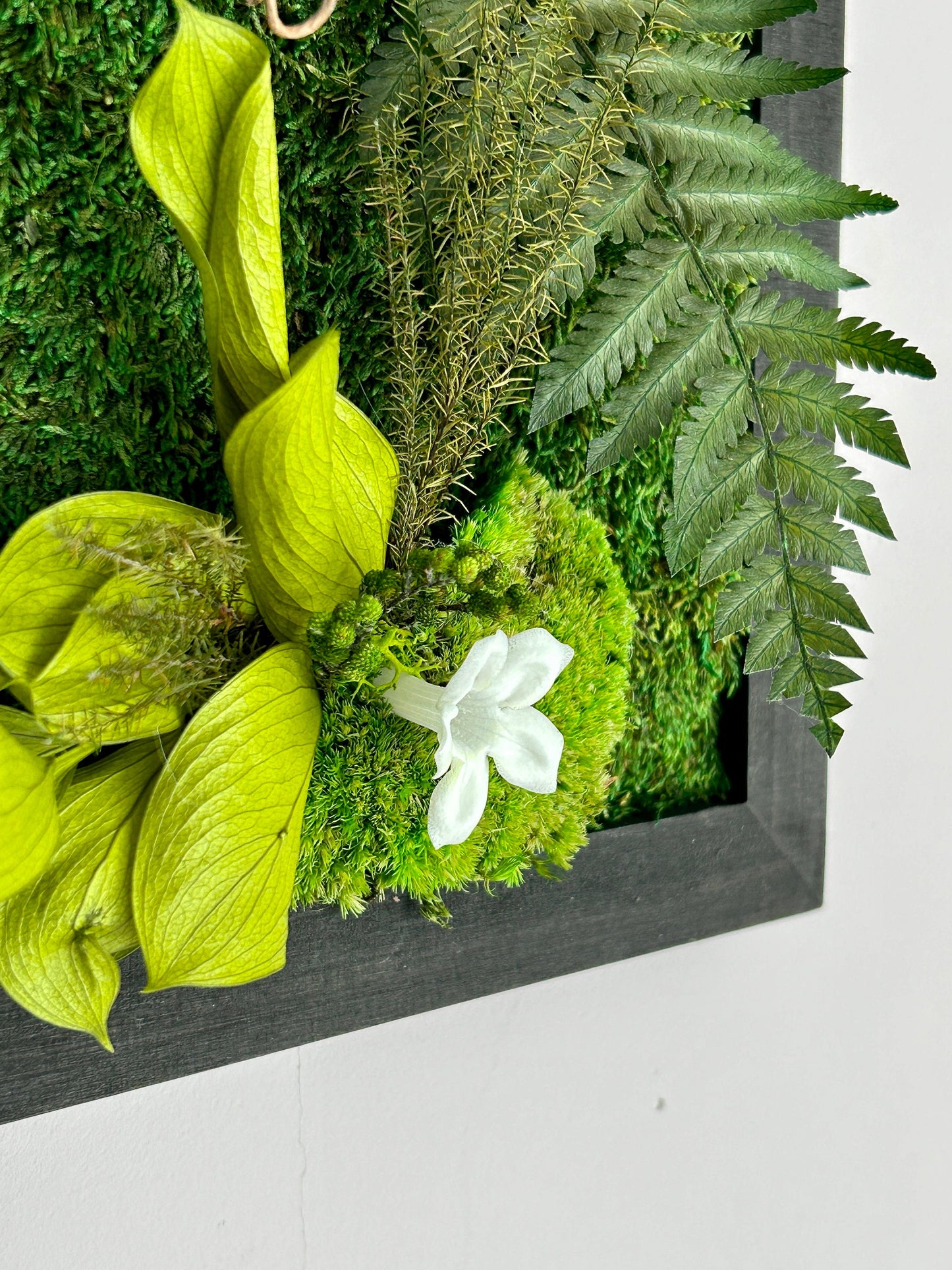 Tableau végétal stabilisé "Jasmin"
