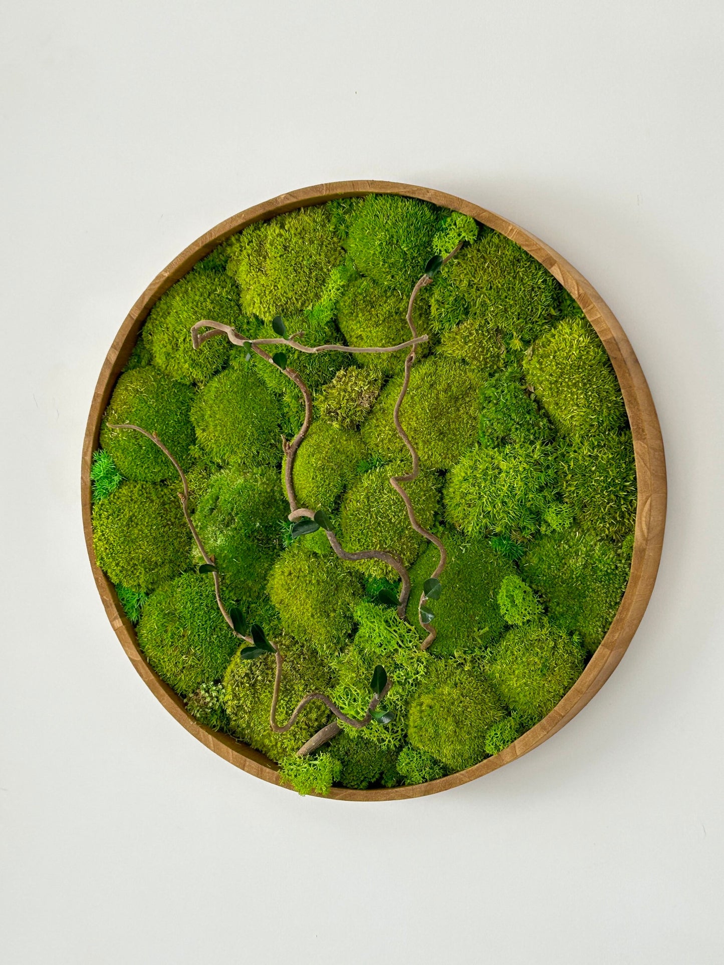 Tableau végétal stabilisé “Auréa”
