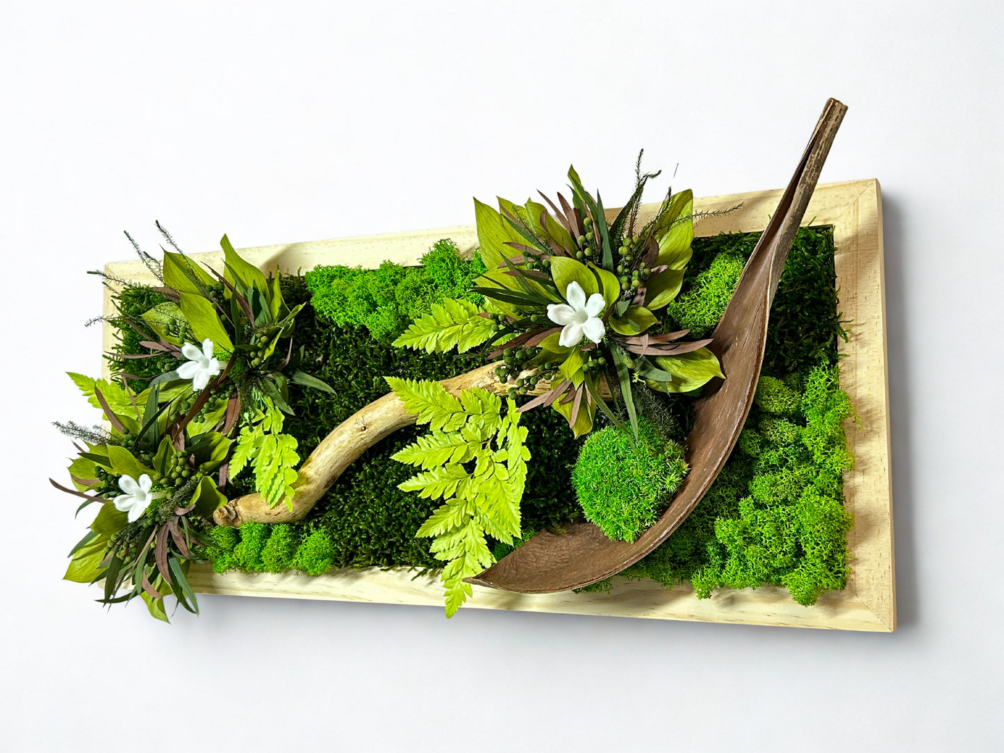 Tableau végétal stabilisé "Jungle"