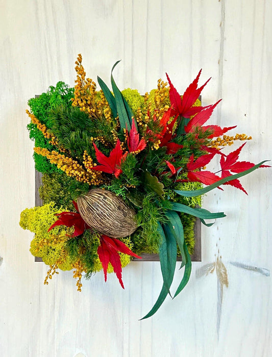 Cadre végétal stabilisé «Aki»