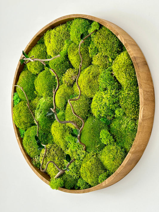 Tableau végétal stabilisé “Auréa”