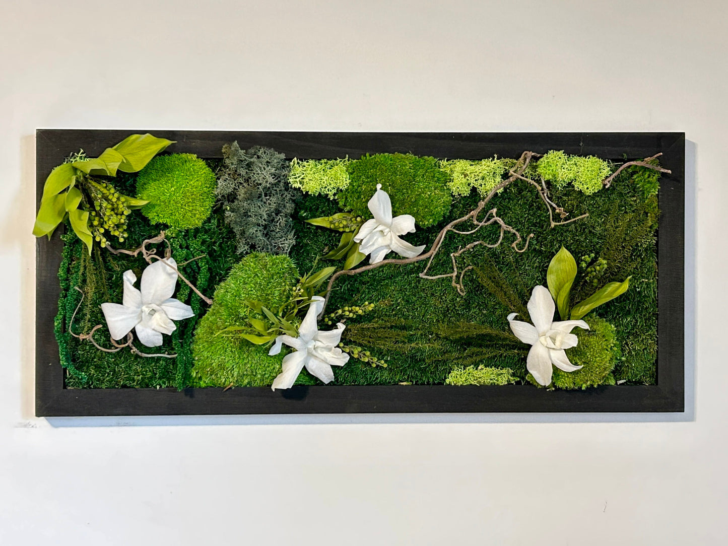 Tableau végétal stabilisé “Cattleya”