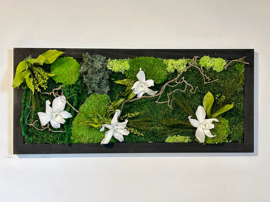 Tableau végétal stabilisé “Cattleya”