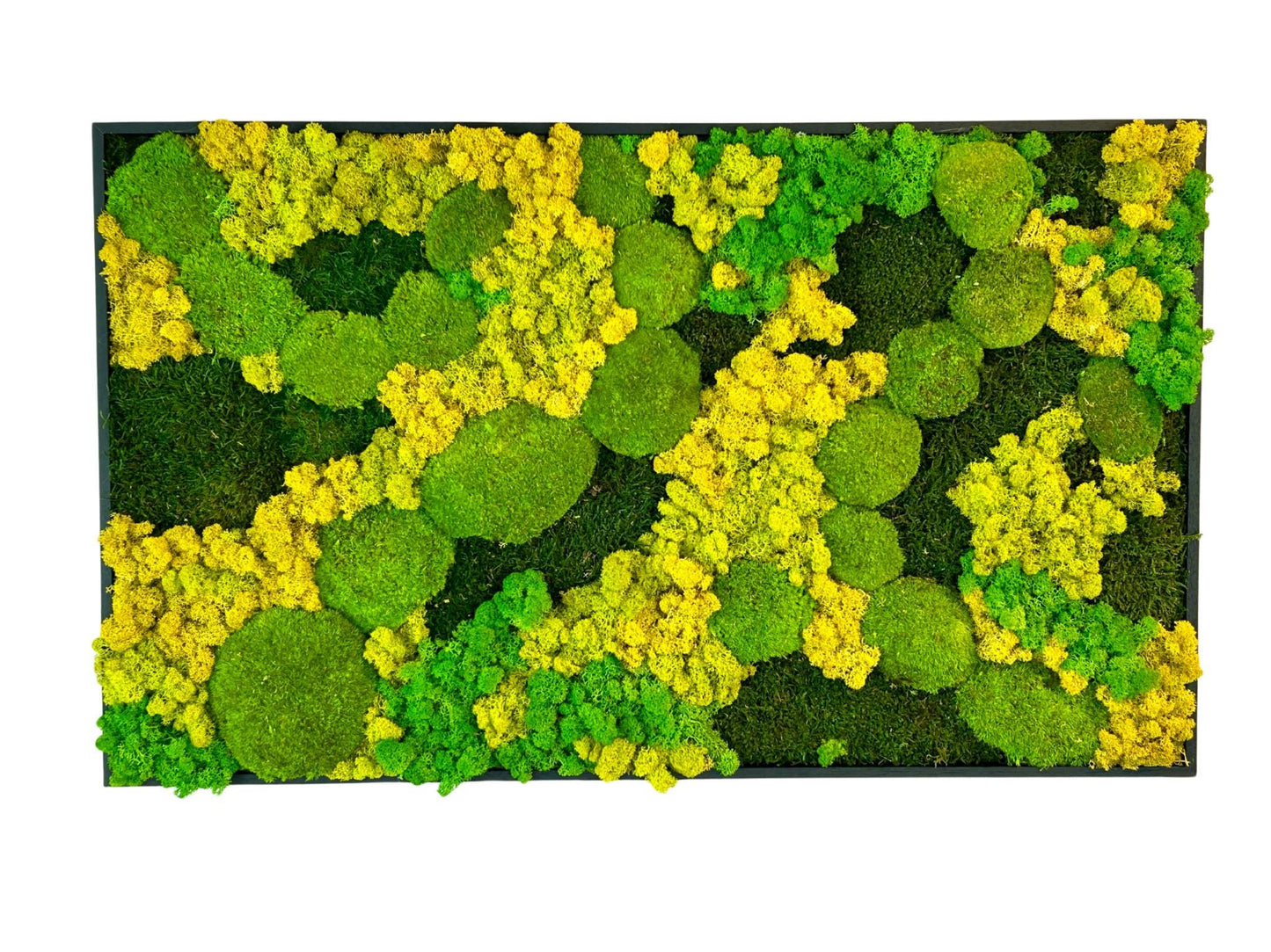 Tableau végétal stabilisé « Terra Nova »