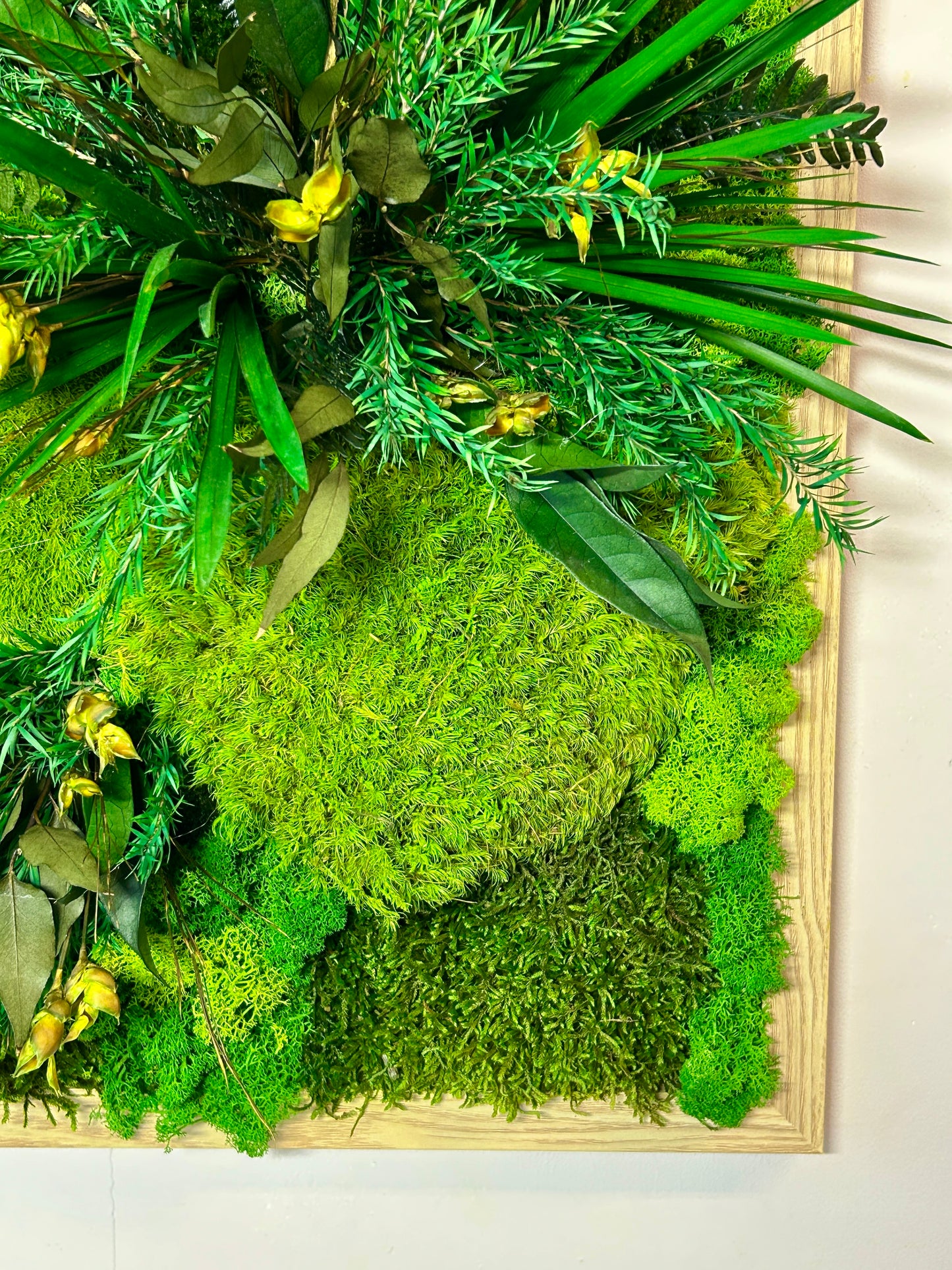 Tableau végétal stabilisé XXL « Tongass »