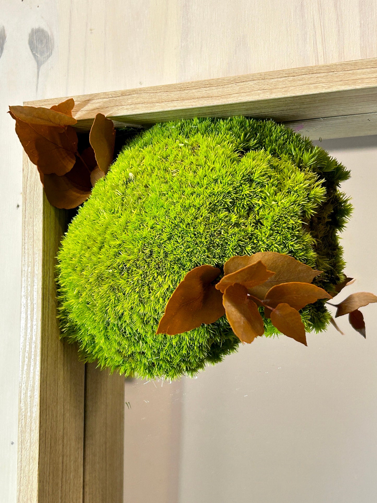 Miroir végétal stabilisé “Tu es belle”