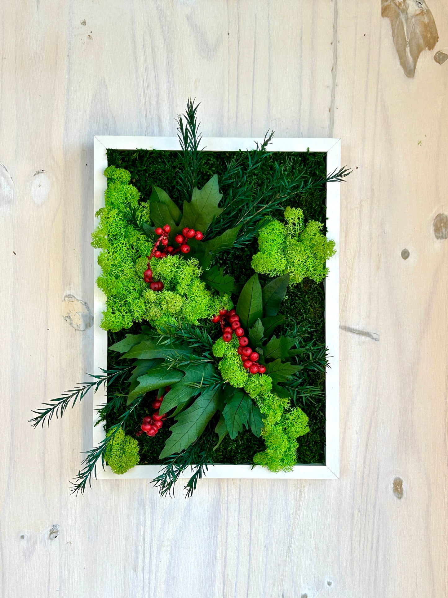 Cadre végétal stabilisé « Lucia »