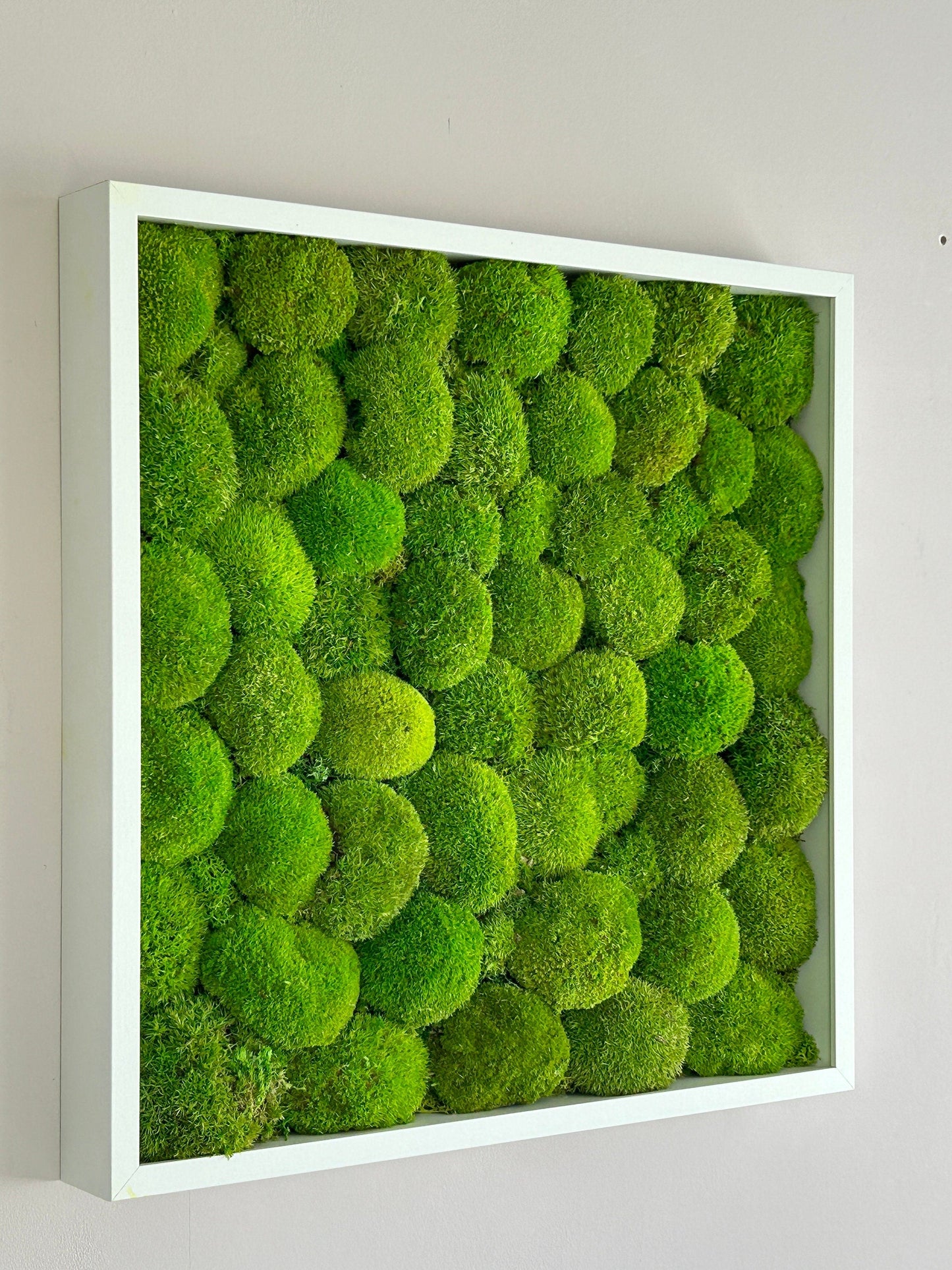 Tableau végétal stabilisé “Isla”