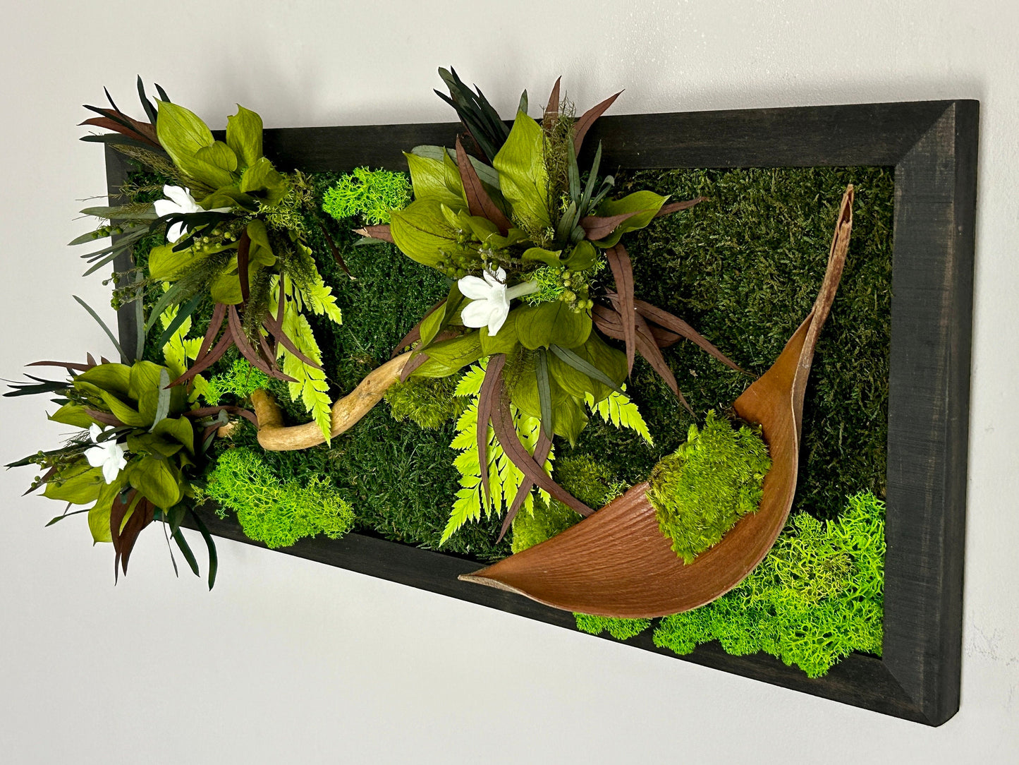 Tableau végétal stabilisé "Jungle"