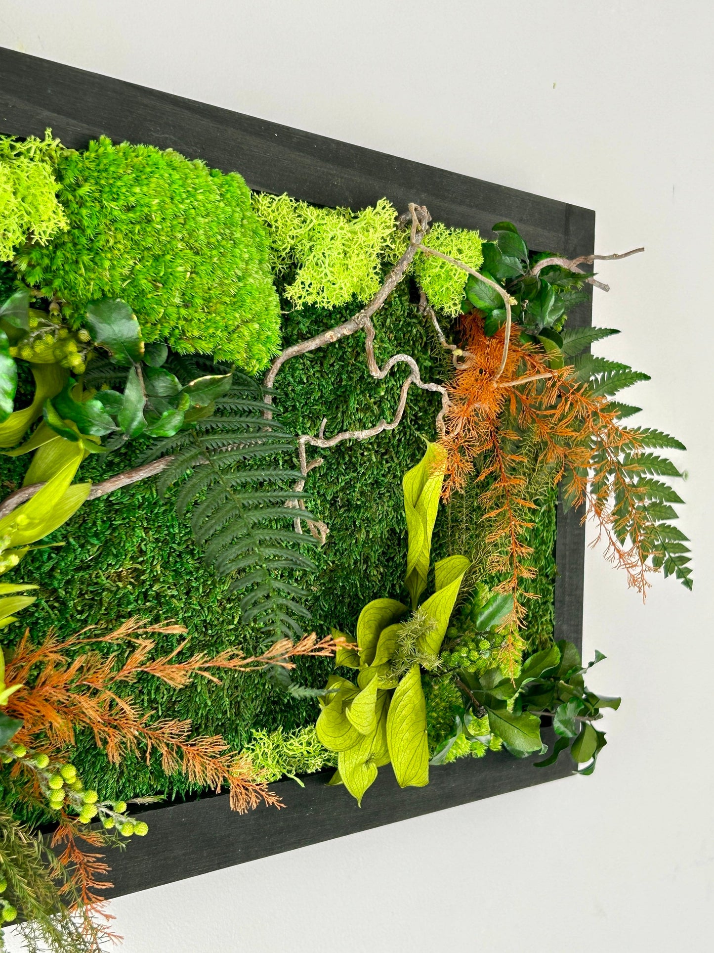 Tableau végétal stabilisé « Alice » - Cadeau nature – Décoration zen
