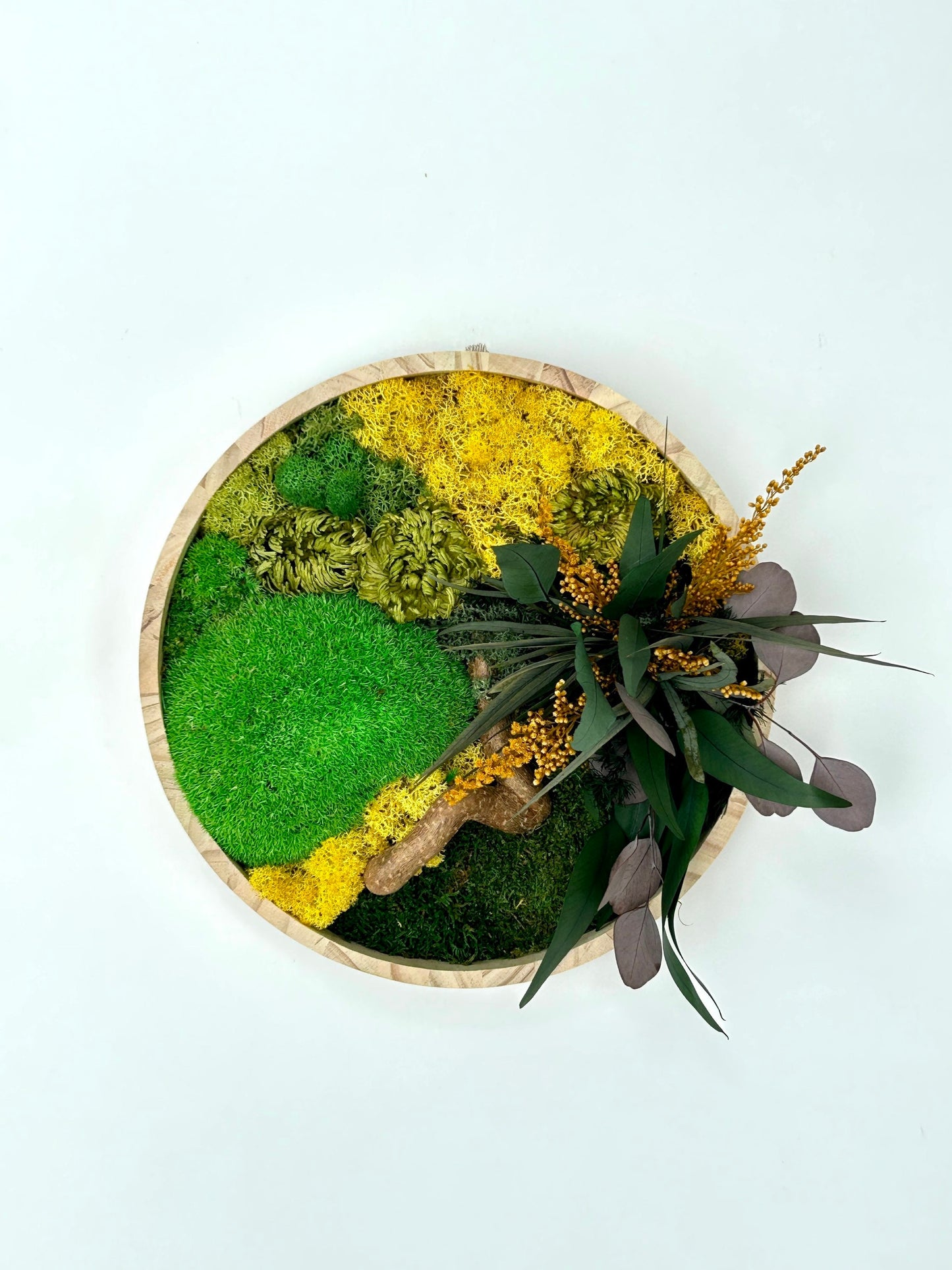 Tableau végétal stabilisé “Solaria”