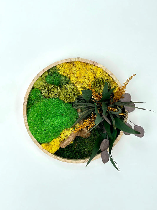 Tableau végétal stabilisé “Solaria”