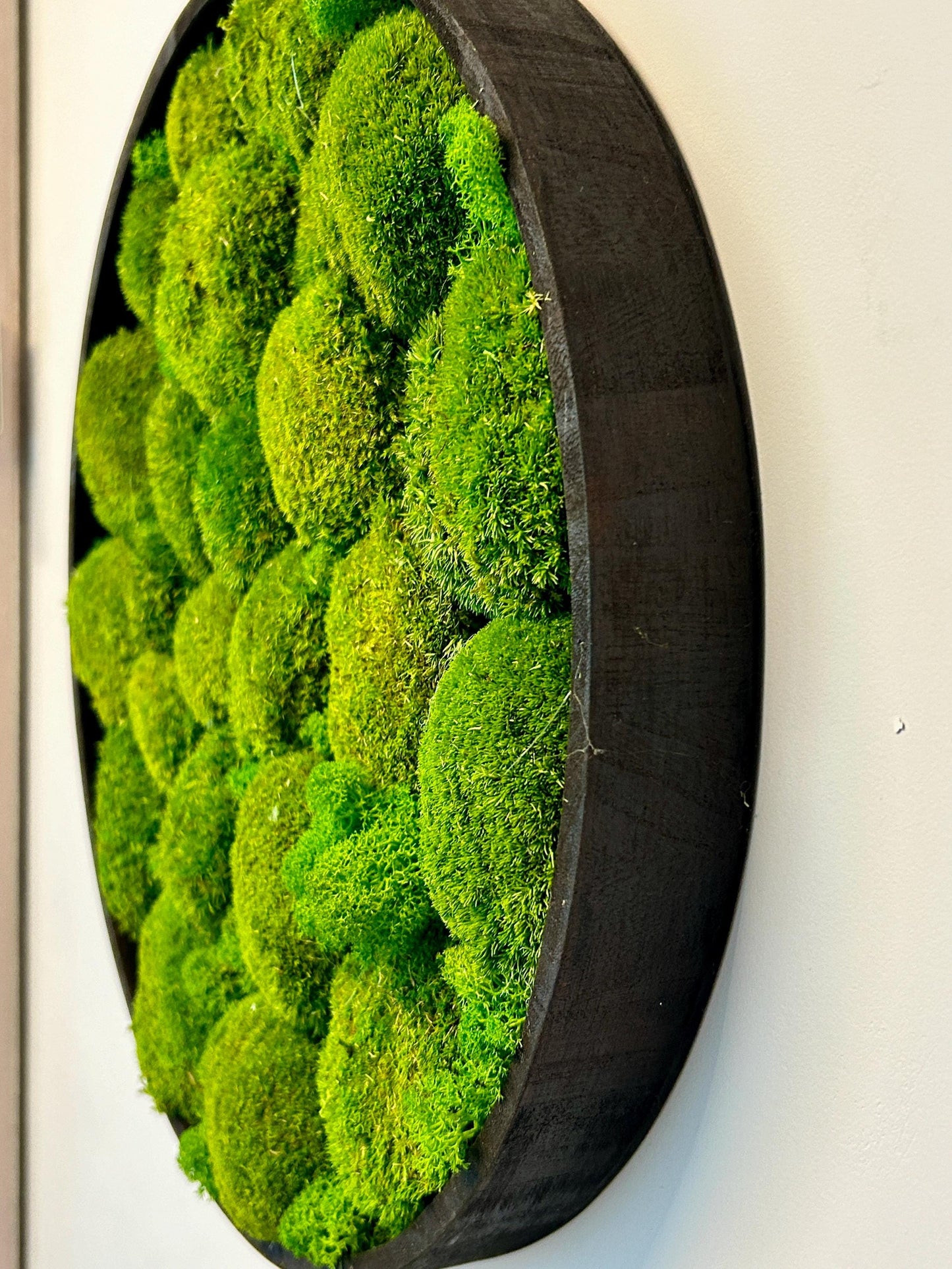 Tableau végétal stabilisé “Oasis”